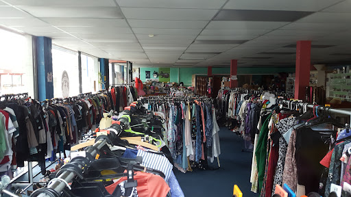 Opportunity for Animals Miramar