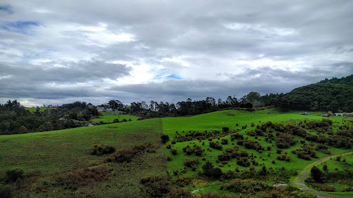 The Koha Shed - West Auckland