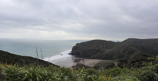 Community Waitakere Charitable Trust