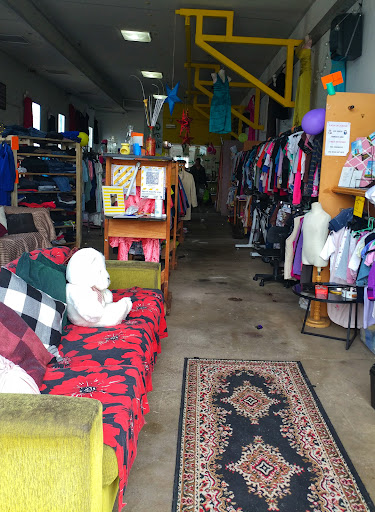 The Op Shop (Lion of Judah)