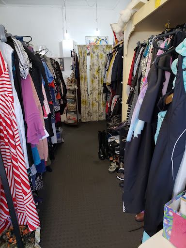 Cat Rescue Dunedin Charity Shop