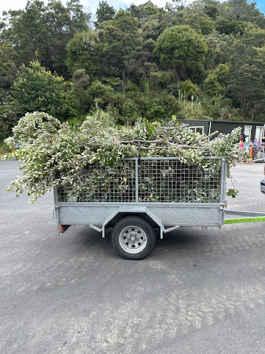 Coromandel Town Refuse and Recycling Transfer Station