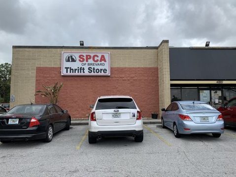 SPCA Op Shop Dargaville 1 spca op shop dargaville