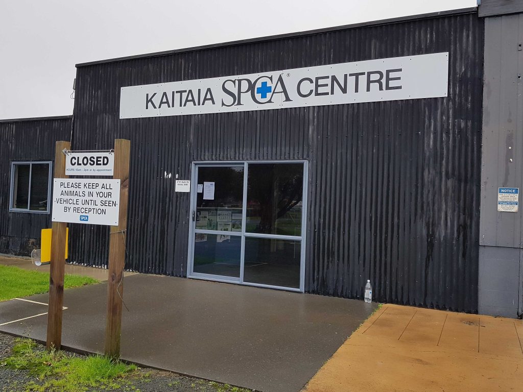 spca op shop kaitaia