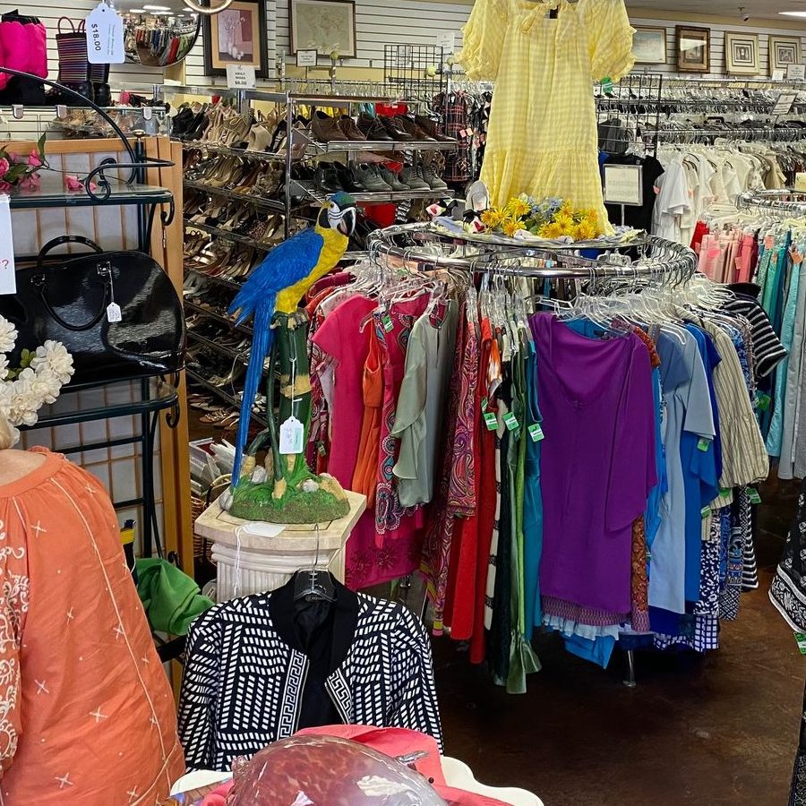 The Best Charity Shops in Dargaville 1 the best charity shops in dargaville
