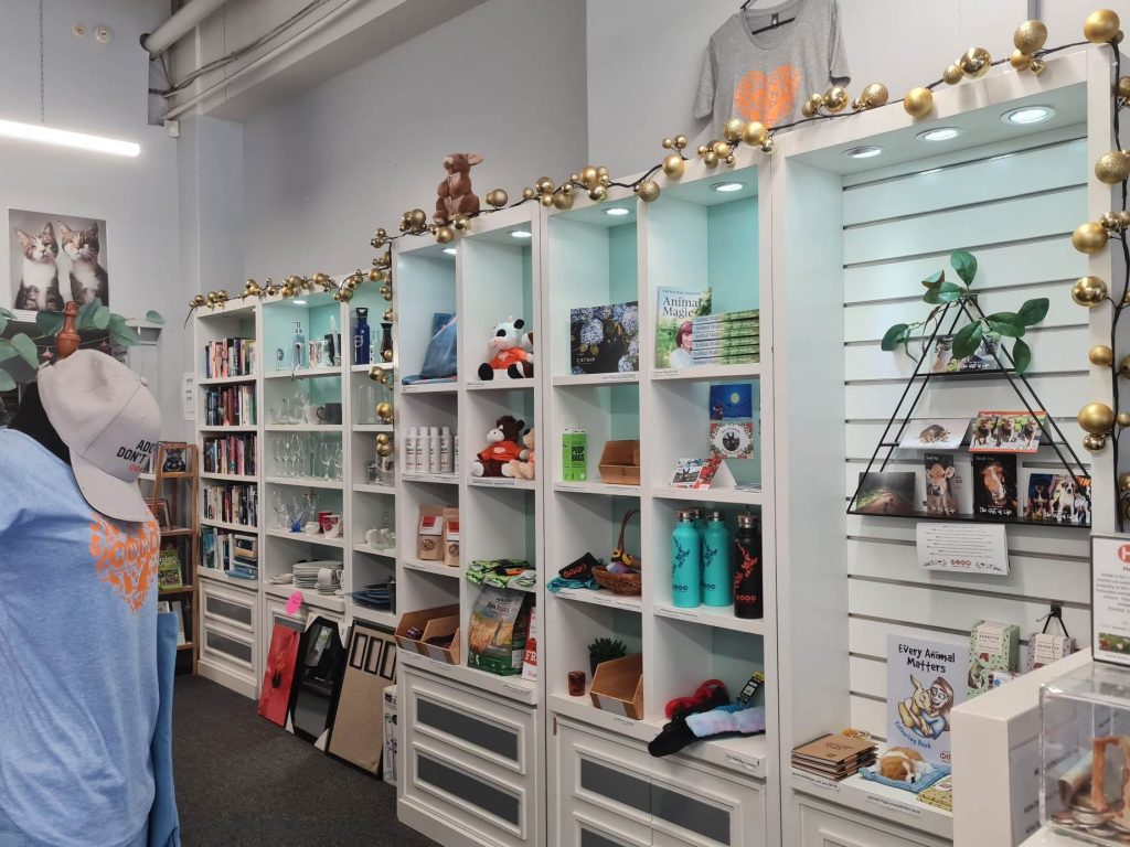 The Best Charity Shops in Lower Hutt 1 the best charity shops in lower hutt