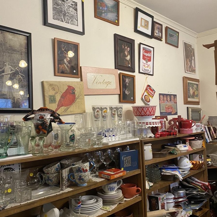 The Best Charity Shops in North Shore 1 the best charity shops in north shore