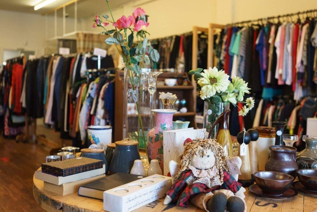 the best charity shops in tauranga