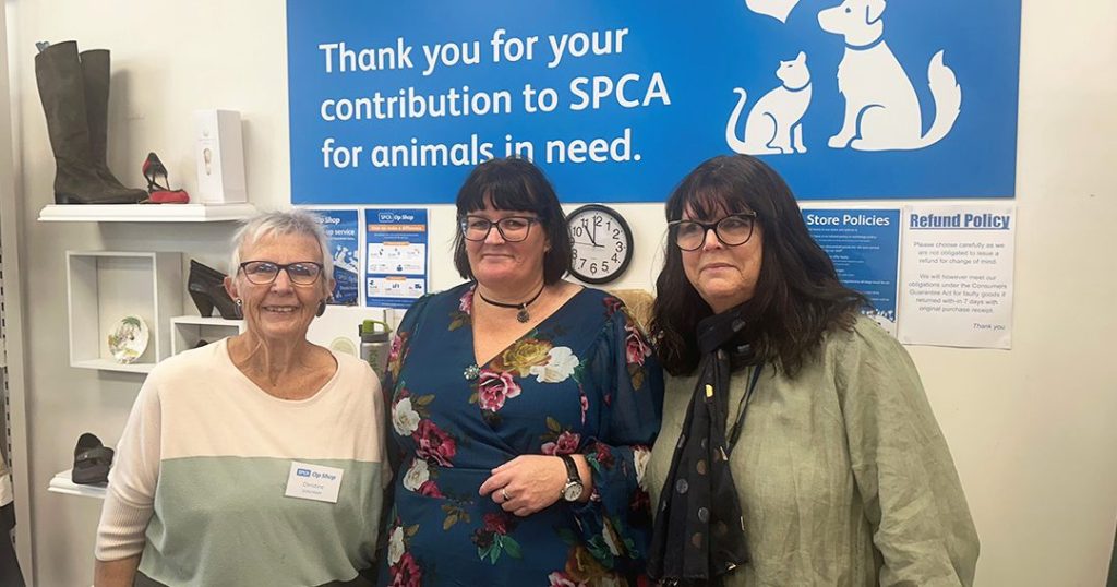 The Best Charity Shops in Waimakariri District 1 the best charity shops in waimakariri district